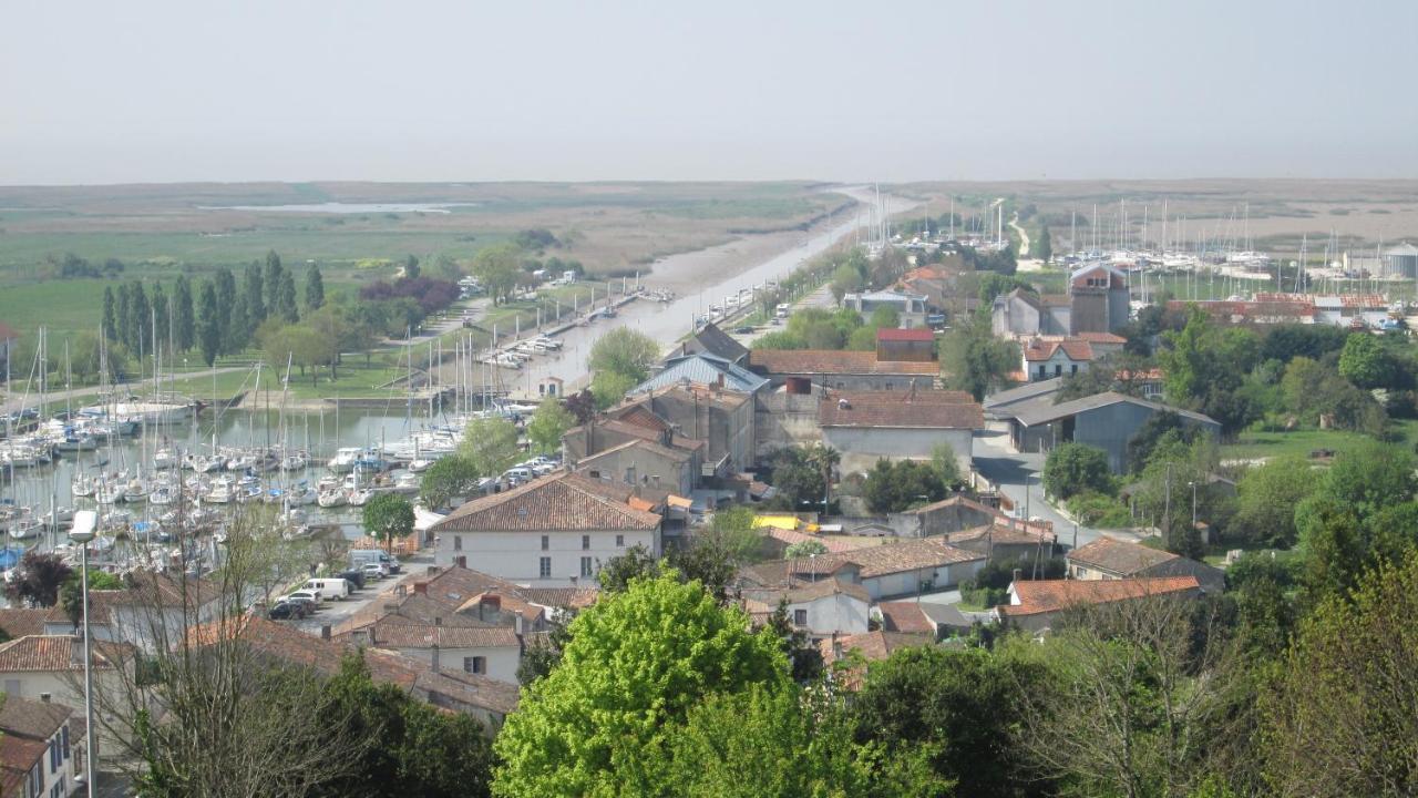 Grande Maison Charentaise Avec Vue Sur Le Chenal Superbes Couches De Soleil Sur L Estuaire De La Gironde! Mortagne-sur-Gironde Exteriér fotografie